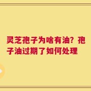 灵芝孢子为啥有油？孢子油过期了如何处理