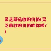灵芝蘑菇收购价格(灵芝菌收购价格咋样啦？)