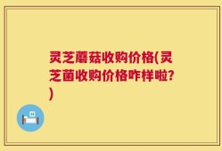 灵芝蘑菇收购价格(灵芝菌收购价格咋样啦？)