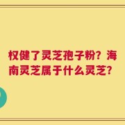 权健了灵芝孢子粉？海南灵芝属于什么灵芝？