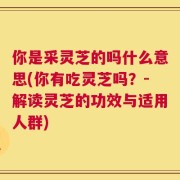 你是采灵芝的吗什么意思(你有吃灵芝吗？-解读灵芝的功效与适用人群)