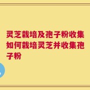 灵芝栽培及孢子粉收集如何栽培灵芝并收集孢子粉