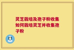 灵芝栽培及孢子粉收集如何栽培灵芝并收集孢子粉