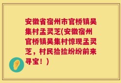 安徽省宿州市官桥镇吴集村孟灵芝(安徽宿州官桥镇吴集村惊现孟灵芝，村民拾捡纷纷前来寻宝！)
