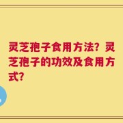 灵芝孢子食用方法？灵芝孢子的功效及食用方式？