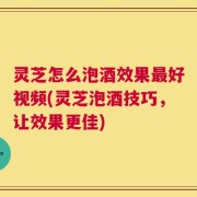 灵芝怎么泡酒效果最好视频(灵芝泡酒技巧，让效果更佳)