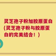 灵芝孢子粉加胶原蛋白(灵芝孢子粉与胶原蛋白的完美结合！)