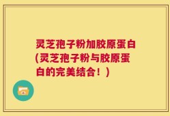 灵芝孢子粉加胶原蛋白(灵芝孢子粉与胶原蛋白的完美结合！)