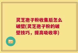 灵芝孢子粉收集后怎么破壁(灵芝孢子粉的破壁技巧，提高吸收率)