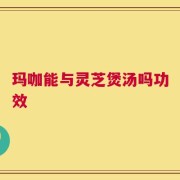 玛咖能与灵芝煲汤吗功效