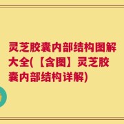 灵芝胶囊内部结构图解大全(【含图】灵芝胶囊内部结构详解)