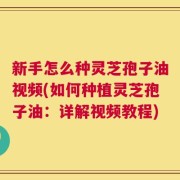 新手怎么种灵芝孢子油视频(如何种植灵芝孢子油：详解视频教程)