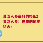 灵芝人参最好的搭配(灵芝人参：完美的植物组合)