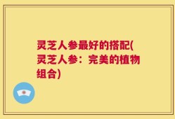 灵芝人参最好的搭配(灵芝人参：完美的植物组合)