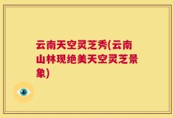 云南天空灵芝秀(云南山林现绝美天空灵芝景象)