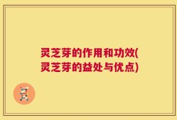 灵芝芽的作用和功效(灵芝芽的益处与优点)