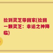 捡到灵芝带回家(捡回一颗灵芝：幸运之神降临)