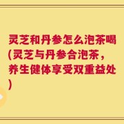 灵芝和丹参怎么泡茶喝(灵芝与丹参合泡茶，养生健体享受双重益处)
