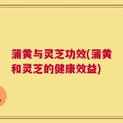 蒲黄与灵芝功效(蒲黄和灵芝的健康效益)