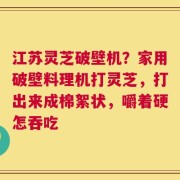江苏灵芝破壁机？家用破壁料理机打灵芝，打出来成棉絮状，嚼着硬怎吞吃
