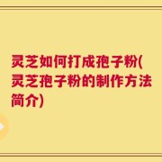 灵芝如何打成孢子粉(灵芝孢子粉的制作方法简介)