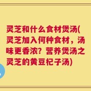 灵芝和什么食材煲汤(灵芝加入何种食材，汤味更香浓？营养煲汤之灵芝的黄豆杞子汤)