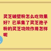 灵芝破壁粉怎么吃效果好？已采集了灵芝孢子粉的灵芝功效作用怎样呢