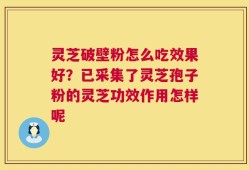 灵芝破壁粉怎么吃效果好？已采集了灵芝孢子粉的灵芝功效作用怎样呢