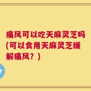 痛风可以吃天麻灵芝吗(可以食用天麻灵芝缓解痛风？)