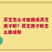 灵芝怎么才能做成灵芝孢子粉？灵芝孢子粉怎么做成粉