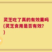 灵芝吃了真的有效果吗(灵芝食用是否有效？)