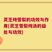 灵芝炖雪梨的功效与作用(灵芝雪梨炖汤的益处与功效)
