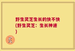 野生灵芝生长的快不快(野生灵芝：生长神速)
