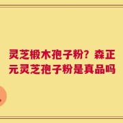 灵芝椴木孢子粉？森正元灵芝孢子粉是真品吗