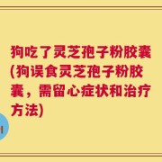 狗吃了灵芝孢子粉胶囊(狗误食灵芝孢子粉胶囊，需留心症状和治疗方法)