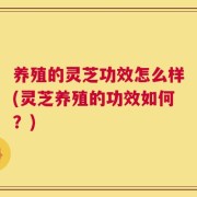 养殖的灵芝功效怎么样(灵芝养殖的功效如何？)