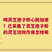 喝灵芝孢子粉心跳加速？已采集了灵芝孢子粉的灵芝功效作用怎样呢