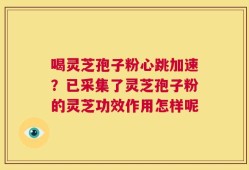 喝灵芝孢子粉心跳加速？已采集了灵芝孢子粉的灵芝功效作用怎样呢