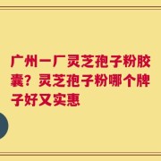 广州一厂灵芝孢子粉胶囊？灵芝孢子粉哪个牌子好又实惠