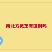 南北方灵芝有区别吗