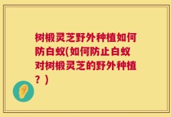 树椴灵芝野外种植如何防白蚁(如何防止白蚁对树椴灵芝的野外种植？)
