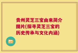 贵州灵芝三宝由来简介图片(探寻灵芝三宝的历史传承与文化内涵)