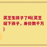 灵芝生孩子了吗(灵芝诞下孩子，身价数千万)