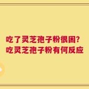 吃了灵芝孢子粉很困？吃灵芝孢子粉有何反应