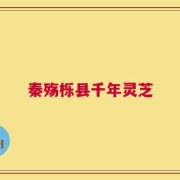 秦殇栎县千年灵芝