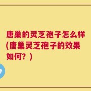 唐巢的灵芝孢子怎么样(唐巢灵芝孢子的效果如何？)