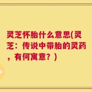灵芝怀胎什么意思(灵芝：传说中带胎的灵药，有何寓意？)