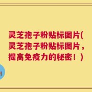 灵芝孢子粉贴标图片(灵芝孢子粉贴标图片，提高免疫力的秘密！)