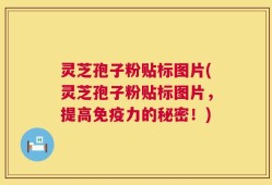 灵芝孢子粉贴标图片(灵芝孢子粉贴标图片，提高免疫力的秘密！)