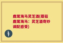 鹿茸海马灵芝酒(蘑菇鹿茸海马：灵芝酒奇妙调配感受)